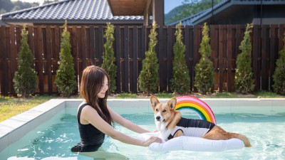 프라이빗 풀